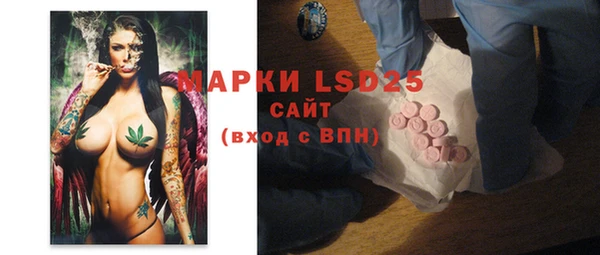 ECSTASY Алзамай
