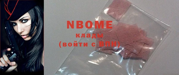spice Богородск