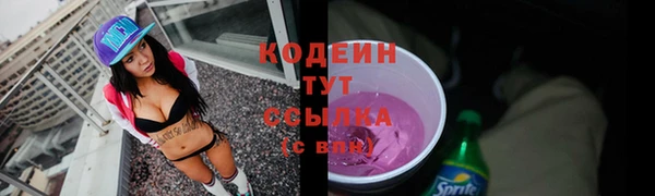 spice Богородск