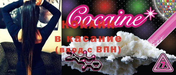 spice Богородск