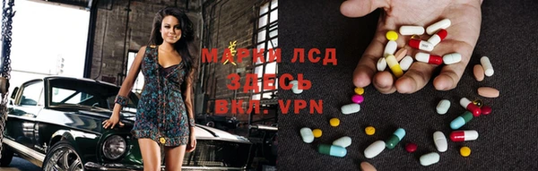ECSTASY Алзамай