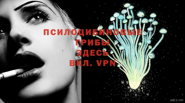 apvp Алексин