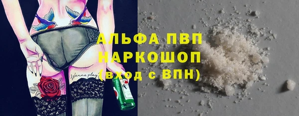 ECSTASY Алзамай