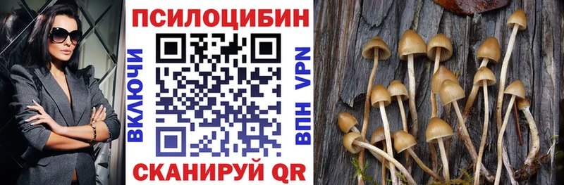 купить  сайты  ОМГ ОМГ как зайти  Галлюциногенные грибы прущие грибы  Можга 